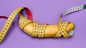 Penis Size