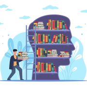 Knowledge Base